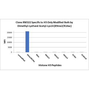 Multiplex Immunoassay: Histone H3 [ac Lys14] Antibody (RM322) - Azide and BSA Free [NBP3-26006] - RM322 specifically reacts to Histone H3 only when modified at both dimethyl-lysine 9 and acetyl-lysine 14 (K9me2/K14ac). No cross reactivity with non-modified Lysine 9/14, methylated Lysine 9 (K9me1,k9me2, k9me3) ONLY, acetylated Lysine 9/14 ONLY, or methylated Lysine 14 (K14me2) ONLY, in Histone H3.