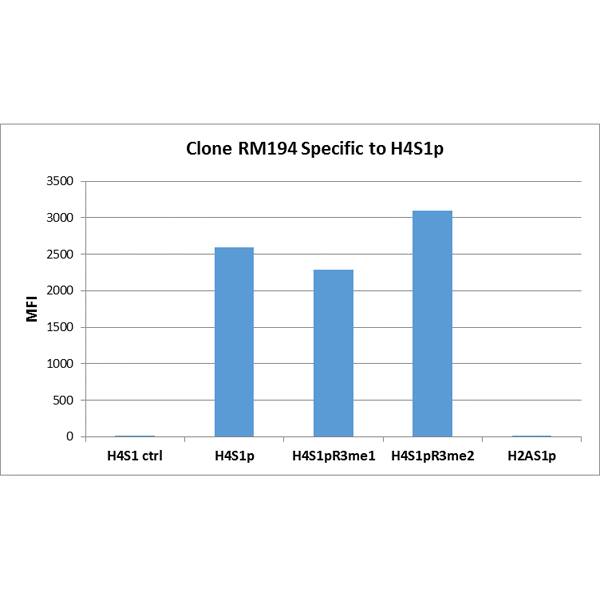 Multiplex Immunoassay: Histone H4 [p Ser1] Antibody (RM194) - Azide and BSA Free [NBP3-26008] - RM194 specifically reacts to Histone H4 phosphorylated at Serine 1 (H4S1p). The reactivity is not affected by neighboring Arginine 3 modifications (H4S1pR3me1 and H4S1pR3me2). No cross reactivity with Histone H2A phosphorylated at Serine 1 (H2AS1p).