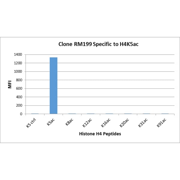 Multiplex Immunoassay: Histone H4 [ac Lys5] Antibody (RM199) - Azide and BSA Free [NBP3-26010] - RM199 specifically reacts to Histone H4 acetylated at Lysine 5 (K5ac). No cross reactivity with unmodified Lysine 5 (K5 ctrl), acetylated Lysine 8 (K8ac), Lysine 12 (K12ac), Lysine 16 (K16ac), Lysine 20 (K20ac), Lysine 31 (K31ac), or Lysine 91 (K91) in Histone H4.