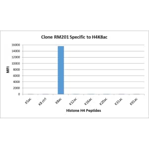 Multiplex Immunoassay: Histone H4 [ac Lys8] Antibody (RM201) - Azide and BSA Free [NBP3-26011] - RM201 specifically reacts to Histone H4 acetylated at Lysine 8. No cross reactivity with unmodified Lysine 8, acetylated Lysine 5, Lysine 12, Lysine 16, Lysine 20, Lysine 31, or Lysine 91 in Histone H4.