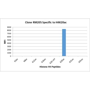 Multiplex Immunoassay: Histone H4 [ac Lys20] Antibody (RM205) - Azide and BSA Free [NBP3-26013] - RM205 specifically reacts to Histone H4 acetylated at Lysine 20 (K20ac). No cross reactivity with unmodified Lysine 20 (K20 ctrl), acetylated Lysine 5 (K5ac), Lysine 8 (K8ac), Lysine 12 (K12ac), Lysine 16 (K20ac), Lysine 31 (K31ac), or Lysine 91 (K91) in Histone H4.
