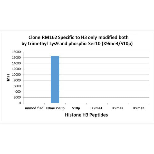 Multiplex Immunoassay: Histone H3 [Trimethyl Lys9, p Ser10] Antibody (RM162) - Azide and BSA Free [NBP3-26022] - RM162 specifically reacts to Histone H3 only when modified at both trimethyl-lysine 9 and phospho-serine 10 (K9me3/S10p). No cross reactivity with non-modified Lysine 9/ Serine 10, methylated Lysine 9 (K9me1, k9me2, k9me3) ONLY, or phosphorylated Serine 10 ONLY, in Histone H3.