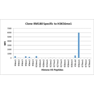 Multiplex Immunoassay: Histone H3 [Monomethyl Lys56] Antibody (RM180) - Azide and BSA Free [NBP3-26023] - RM180 specifically reacts to Histone H3 monomethylated at Lysine 56. No cross reactivity with nonmodified Lysine 56, or other methylations in histone H3.