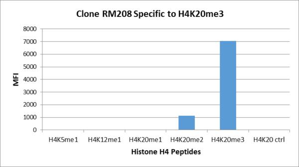 Multiplex Immunoassay: Histone H4 [Trimethyl Lys20] Antibody (RM208) - Azide and BSA Free [NBP3-26024] - RM208 specifically reacts to Histone H4 trimethylated at Lysine 20 (K20me3). May slightly cross react to dimethylated Lysine 20 (K20me2) when used at higher concentrations. No cross reactivity with non-modified Lysine 20, monomethylated Lysine 20 (K20me1), or other methylations in histone H4.