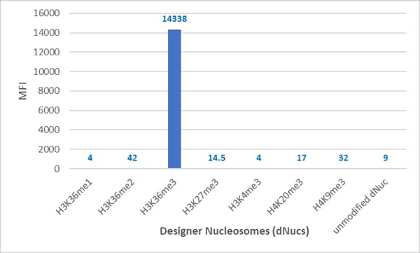 Multiplex Immunoassay: Histone H3 [Trimethyl Lys36] Antibody (RM491) - Azide and BSA Free [NBP3-26038] - Luminex of Designer Nucleosomes (dNucs) (Recombinant Human Nucleosome with H3 monomethylated Lysine 36, dimethylated Lysine 36, trimethylated Lys 36, and H3 Lys 27, H3 Lys4, H4 Lys20, H4Lys9 Tri-Methylation), using RM491.