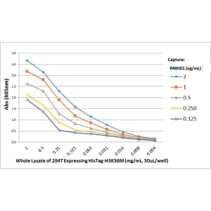 Sandwich ELISA: His Tag Antibody (RMH01) - Chimeric - Azide and BSA Free [NBP3-26048] - Sandwich ELISA performed on different amounts of whole lysate of 293T cells transfected with a DNA construct encoding His Tag Histone H3 (K36M) protein, using Clone RMH01 as the capture antibody. Another Histone H3 [monomethyl Lys 36] rabbit monoclonal antibody was used as the detection antibody, followed by an alkaline phosphatase conjugated Rabbit IgG as the Secondary antibody.