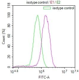 Flow Cytometry: Ndufs4 Antibody (9H1) [NBP3-26116] - Overlay Peak curve showing MCF7 cells stained with Ndufs4 Antibody (9H1) (red line) at 1:100. The cells were fixed in 4% formaldehyde and permeated by 0.2% Triton X-100. Then 10% normal goat serum to block non-specific protein-protein interactions followed by the antibody (1ug/1*10^6 cells) for 45min at 4C. The secondary antibody used was FITC-conjugated Goat Anti-rabbit IgG (H+L) at 1:200 dilution for 35min at 4C. Control antibody (green line) was rabbit IgG (1ug/1*10^6 cells) used under the same conditions. Acquisition of >10,000 events was performed.