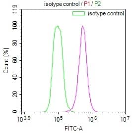 Flow Cytometry: MAS1L Antibody (15B8) [NBP3-26148] - Overlay Peak curve showing Hela cells stained with MAS1L Antibody (15B8) (red line) at 1:100. The cells were incubated in 10% normal goat serum to block non-specific protein-protein interactions followed by the antibody (1ug/1*10^6 cells) for 45min at 4C. The secondary antibody used was FITC-conjugated Goat Anti-rabbit IgG (H+L) at 1:200 dilution for 35min at 4C. Control antibody (green line) was rabbit IgG (1ug/1*10^6 cells) used under the same conditions. Acquisition of >10,000 events was performed.