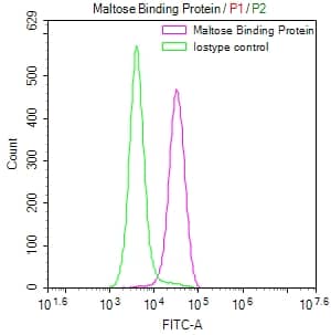 Flow Cytometry: Maltose Binding Protein Antibody (10F2) [NBP3-26156] - Overlay Peak curve showing SH-SY5Y cells stained with Maltose Binding Protein Antibody (10F2) (red line) at 1:50. The cells were fixed in 4% formaldehyde and permeated by 0.2% Triton X-100. Then 10% normal goat serum to block non-specific protein-protein interactions followed by the antibody (1ug/1*10^6 cells) for 45min at 4C. The secondary antibody used was FITC-conjugated Goat Anti-rabbit IgG (H+L) at 1:200 dilution for 35min at 4C. Control antibody (green line) was rabbit IgG (1ug/1*10^6 cells) used under the same conditions. Acquisition of >10,000 events was performed.