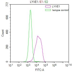 Flow Cytometry: LYVE-1 Antibody (11C11) [NBP3-26159] - Overlay Peak curve showing HepG2 cells stained with LYVE-1 Antibody (11C11) (red line) at 1:50. The cells were fixed in 4% formaldehyde and permeated by 0.2% Triton X-100. Then 10% normal goat serum to block non-specific protein-protein interactions followed by the antibody (1ug/1*10^6 cells) for 45min at 4C. The secondary antibody used was FITC-conjugated Goat Anti-rabbit IgG (H+L) at 1:200 dilution for 35min at 4C. Control antibody (green line) was rabbit IgG (1ug/1*10^6 cells) used under the same conditions. Acquisition of >10,000 events was performed.