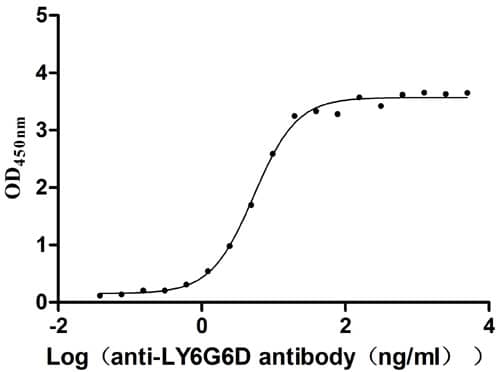 ELISA Gr-1/Ly-6G Antibody (8I8)