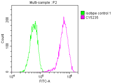 Flow Cytometry: LDLR Antibody (2B10) [NBP3-26172] - Overlay histogram showing Hela cells stained with LDLR Antibody (2B10) (red line) at 1:50. The cells were incubated in 10% normal goat serum to block non-specific protein-protein interactions followed by the antibody (1ug/1*10^6 cells) for 1 h at 4C. The secondary antibody used was FITC-conjugated goat anti-rabbit IgG (H+L) at 1/200 dilution for 30min at 4C. Control antibody (green line) was Rabbit IgG (1ug/1*10^6 cells) used under the same conditions. Acquisition of >10,000 events was performed.