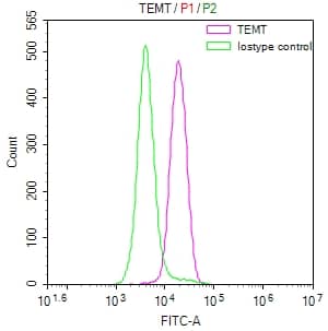 Flow Cytometry: INMT Antibody (31G7) [NBP3-26197] - Overlay Peak curve showing SH-SY5Y cells stained with INMT Antibody (31G7) (red line) at 1:50. The cells were fixed in 4% formaldehyde and permeated by 0.2% Triton X-100. Then 10% normal goat serum to block non-specific protein-protein interactions followed by the antibody (1ug/1*10^6 cells) for 45min at 4C. The secondary antibody used was FITC-conjugated Goat Anti-rabbit IgG (H+L) at 1:200 dilution for 35min at 4C. Control antibody (green line) was rabbit IgG (1ug/1*10^6 cells) used under the same conditions. Acquisition of >10,000 events was performed.