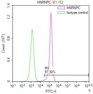 Flow Cytometry: hnRNP C1 + C2 Antibody (9G1) [NBP3-26221] - Overlay Peak curve showing MCF7 cells stained with NBP3-26221 (red line) at 1:50. The cells were fixed in 4% formaldehyde and permeated by 0.2% TritonX-100. Then 10% normal goat serum to block non-specific protein-protein interactions followed by the antibody (1ug/1*106cells) for 45min at 4℃. The secondary antibody used was FITC-conjugated Goat Anti-rabbit IgG (H+L) at 1:200 dilution for 35min at 4℃.Control antibody (green line) was Rabit IgG (1ug/1*106cells) used under the same conditions. Acquisition of >10,000 events was performed.