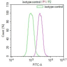 Flow Cytometry: FIH-1/HIF-1AN Antibody (12F11) [NBP3-26233] - Overlay Peak curve showing Hela cells stained with FIH-1/HIF-1AN Antibody (12F11) (red line) at 1:100. The cells were fixed in 4% formaldehyde and permeated by 0.2% Triton X-100. Then 10% normal goat serum to block non-specific protein-protein interactions followed by the antibody (1ug/1*10^6 cells) for 45min at 4C. The secondary antibody used was FITC-conjugated Goat Anti-rabbit IgG (H+L) at 1:200 dilution for 35min at 4C. Control antibody (green line) was rabbit IgG (1ug/1*10^6 cells) used under the same conditions. Acquisition of >10,000 events was performed.