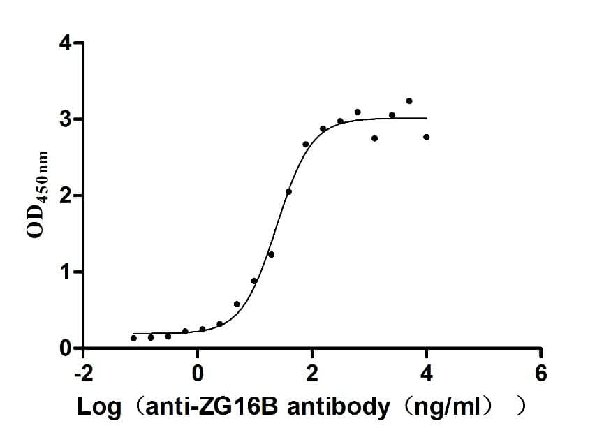 ELISA: PAUF/ZG16B Antibody (6E5) [NBP3-26244] -The Binding Activity of Macaca fascicularis ZG16B with Anti-ZG16B recombinant antibodyActivity: Measured by its binding ability in a functional ELISA. Immobilized Macaca fascicularis ZG16B at 2 μg/mL can bind Anti-ZG16B recombinant antibody , the EC50 is 20.15-28.98 ng/mL.