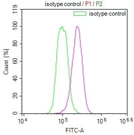 Flow Cytometry: 14-3-3 beta/alpha Antibody (6F6) [NBP3-26247] - Overlay Peak curve showing Hela cells stained with 14-3-3 beta/alpha Antibody (6F6) (red line) at 1:100. The cells were fixed in 4% formaldehyde and permeated by 0.2% Triton X-100. Then 10% normal goat serum to block non-specific protein-protein interactions followed by the antibody (1ug/1*10^6 cells) for 45min at 4C. The secondary antibody used was FITC-conjugated Goat Anti-rabbit IgG (H+L) at 1:200 dilution for 35min at 4C. Control antibody (green line) was rabbit IgG (1ug/1*10^6 cells) used under the same conditions. Acquisition of >10,000 events was performed.