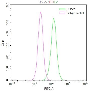 Flow Cytometry: USP22 Antibody (18E3) [NBP3-26260] - Overlay Peak curve showing Hela cells stained with USP22 Antibody (18E3) (red line) at 1:50. The cells were fixed in 4% formaldehyde and permeated by 0.2% Triton X-100. Then 10% normal goat serum to block non-specific protein-protein interactions followed by the antibody (1ug/1*10^6 cells) for 45min at 4C. The secondary antibody used was FITC-conjugated Goat Anti-rabbit IgG (H+L) at 1:200 dilution for 35min at 4C. Control antibody (green line) was rabbit IgG (1ug/1*10^6 cells) used under the same conditions. Acquisition of >10,000 events was performed.