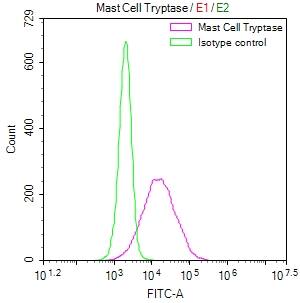 Flow Cytometry: Tryptase beta-2/TPSB2 Antibody (9H6) [NBP3-26273] - Overlay Peak curve showing K562 cells stained with Tryptase beta-2/TPSB2 Antibody (9H6) (red line) at 1:50. The cells were fixed in 4% formaldehyde and permeated by 0.2% Triton X-100. Then 10% normal goat serum to block non-specific protein-protein interactions followed by the antibody (1ug/1*10^6 cells) for 45min at 4C. The secondary antibody used was FITC-conjugated Goat Anti-rabbit IgG (H+L) at 1:200 dilution for 35min at 4C. Control antibody (green line) was rabbit IgG (1ug/1*10^6 cells) used under the same conditions. Acquisition of >10,000 events was performed.