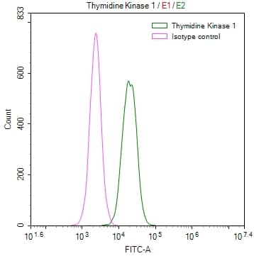 Flow Cytometry: Thymidine Kinase 1 Antibody (6F6) [NBP3-26286] - Overlay Peak curve showing Hela cells stained with Thymidine Kinase 1 Antibody (6F6) (red line) at 1:50. The cells were fixed in 4% formaldehyde and permeated by 0.2% Triton X-100. Then 10% normal goat serum to block non-specific protein-protein interactions followed by the antibody (1ug/1*10^6 cells) for 45min at 4C. The secondary antibody used was FITC-conjugated Goat Anti-rabbit IgG (H+L) at 1:200 dilution for 35min at 4C. Control antibody (green line) was rabbit IgG (1ug/1*10^6 cells) used under the same conditions. Acquisition of >10,000 events was performed.