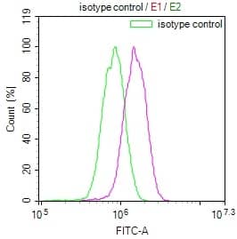 Flow Cytometry: TBK1 Antibody (14D10) [NBP3-26292] - Overlay Peak curve showing A549 cells stained with TBK1 Antibody (14D10) (red line) at 1:100. The cells were fixed in 4% formaldehyde and permeated by 0.2% Triton X-100. Then 10% normal goat serum to block non-specific protein-protein interactions followed by the antibody (1ug/1*10^6 cells) for 45min at 4C. The secondary antibody used was FITC-conjugated Goat Anti-rabbit IgG (H+L) at 1:200 dilution for 35min at 4C. Control antibody (green line) was rabbit IgG (1ug/1*10^6 cells) used under the same conditions. Acquisition of >10,000 events was performed.