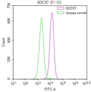 Flow Cytometry: SOCS-7/Nck/NAP4 Antibody (23E4) [NBP3-26310] - Overlay Peak curve showing HepG2 cells stained with SOCS-7/Nck/NAP4 Antibody (23E4) (red line) at 1:50. The cells were fixed in 4% formaldehyde and permeated by 0.2% Triton X-100. Then 10% normal goat serum to block non-specific protein-protein interactions followed by the antibody (1ug/1*10^6 cells) for 45min at 4C. The secondary antibody used was FITC-conjugated Goat Anti-rabbit IgG (H+L) at 1:200 dilution for 35min at 4C. Control antibody (green line) was rabbit IgG (1ug/1*10^6 cells) used under the same conditions. Acquisition of >10,000 events was performed.