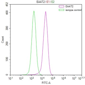 Flow Cytometry: EAAT2/GLT1 Antibody (28F9) [NBP3-26322] - Overlay Peak curve showing MCF-7 cells stained with EAAT2/GLT1 Antibody (28F9) (red line) at 1:50. The cells were fixed in 4% formaldehyde and permeated by 0.2% Triton X-100. Then 10% normal goat serum to block non-specific protein-protein interactions followed by the antibody (1ug/1*10^6 cells) for 45min at 4C. The secondary antibody used was FITC-conjugated Goat Anti-rabbit IgG (H+L) at 1:200 dilution for 35min at 4C. Control antibody (green line) was rabbit IgG (1ug/1*10^6 cells) used under the same conditions. Acquisition of >10,000 events was performed.