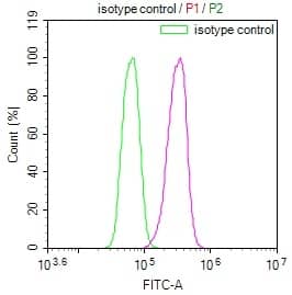 Flow Cytometry: SENP1 Antibody (25H2) [NBP3-26328] - Overlay Peak curve showing K562 cells stained with SENP1 Antibody (25H2) (red line) at 1:100. The cells were fixed in 4% formaldehyde and permeated by 0.2% Triton X-100. Then 10% normal goat serum to block non-specific protein-protein interactions followed by the antibody (1ug/1*10^6 cells) for 45min at 4C. The secondary antibody used was FITC-conjugated Goat Anti-rabbit IgG (H+L) at 1:200 dilution for 35min at 4C. Control antibody (green line) was rabbit IgG (1ug/1*10^6 cells) used under the same conditions. Acquisition of >10,000 events was performed.