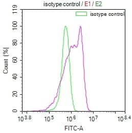 Flow Cytometry: RPS19 Antibody (7E6) [NBP3-26339] - Overlay Peak curve showing HepG2 cells stained with RPS19 Antibody (7E6) (red line) at 1:100. The cells were fixed in 4% formaldehyde and permeated by 0.2% Triton X-100. Then 10% normal goat serum to block non-specific protein-protein interactions followed by the antibody (1ug/1*10^6 cells) for 45min at 4C. The secondary antibody used was FITC-conjugated Goat Anti-rabbit IgG (H+L) at 1:200 dilution for 35min at 4C. Control antibody (green line) was rabbit IgG (1ug/1*10^6 cells) used under the same conditions. Acquisition of >10,000 events was performed.