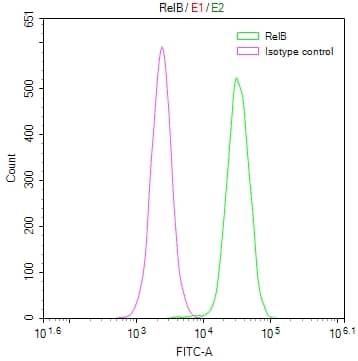 Flow Cytometry: RelB Antibody (9E4) [NBP3-26348] - Overlay Peak curve showing Hela cells stained with RelB Antibody (9E4) (red line) at 1:50. The cells were fixed in 4% formaldehyde and permeated by 0.2% Triton X-100. Then 10% normal goat serum to block non-specific protein-protein interactions followed by the antibody (1ug/1*10^6 cells) for 45min at 4C. The secondary antibody used was FITC-conjugated Goat Anti-rabbit IgG (H+L) at 1:200 dilution for 35min at 4C. Control antibody (green line) was rabbit IgG (1ug/1*10^6 cells) used under the same conditions. Acquisition of >10,000 events was performed.