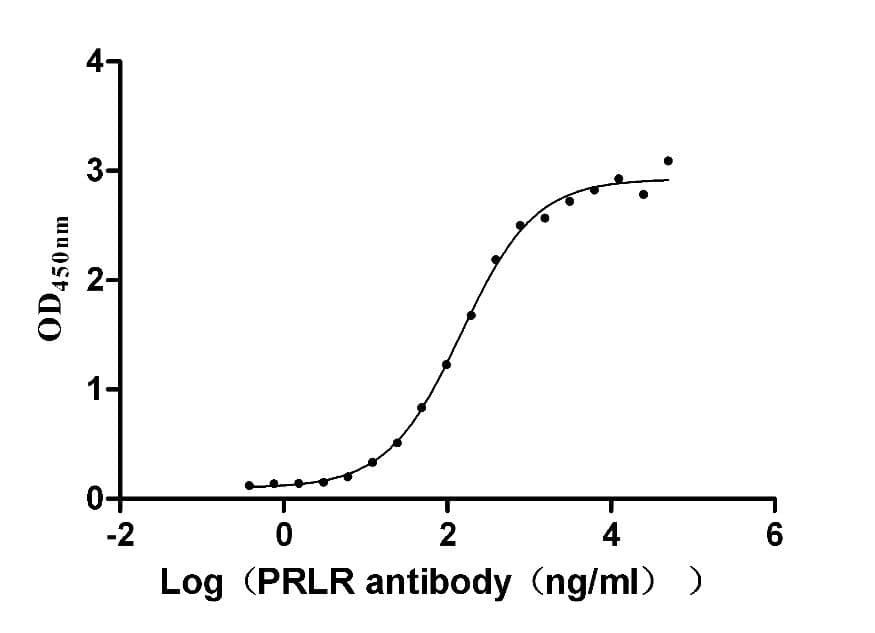 ELISA: Prolactin R Antibody (1D3) [NBP3-26368] - The Binding Activity of Human Prolactin R with Prolactin R Antibody. Activity: Measured by its binding ability in a functional ELISA. Immobilized Human Prolactin R at 2 ug/mL can bind Prolactin R Antibody, the EC50 is 126.8-171.9 ng/mL.