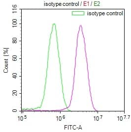 Flow Cytometry: PKN2 Antibody (20A8) [NBP3-26379] - Overlay Peak curve showing MCF7 cells stained with PKN2 Antibody (20A8) (red line) at 1:100. The cells were fixed in 4% formaldehyde and permeated by 0.2% Triton X-100. Then 10% normal goat serum to block non-specific protein-protein interactions followed by the antibody (1ug/1*10^6 cells) for 45min at 4C. The secondary antibody used was FITC-conjugated Goat Anti-rabbit IgG (H+L) at 1:200 dilution for 35min at 4C. Control antibody (green line) was rabbit IgG (1ug/1*10^6 cells) used under the same conditions. Acquisition of >10,000 events was performed.