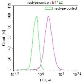 Flow Cytometry: Occludin Antibody (8H8) [NBP3-26449] - Overlay Peak curve showing HepG2 cells stained with Occludin Antibody (8H8) (red line) at 1:100. The cells were incubated in 10% normal goat serum to block non-specific protein-protein interactions followed by the antibody (1ug/1*10^6 cells) for 45min at 4C. The secondary antibody used was FITC-conjugated Goat Anti-rabbit IgG (H+L) at 1:200 dilution for 35min at 4C. Control antibody (green line) was rabbit IgG (1ug/1*10^6 cells) used under the same conditions. Acquisition of >10,000 events was performed.