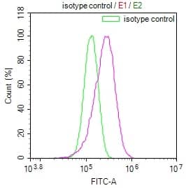 Flow Cytometry: ADP-Sugar Pyrophosphatase/NUDT5 Antibody (10D2) [NBP3-26453] - Overlay Peak curve showing HepG2 cells stained with ADP-Sugar Pyrophosphatase/NUDT5 Antibody (10D2) (red line) at 1:100. The cells were fixed in 4% formaldehyde and permeated by 0.2% Triton X-100. Then 10% normal goat serum to block non-specific protein-protein interactions followed by the antibody (1ug/1*10^6 cells) for 45min at 4C. The secondary antibody used was FITC-conjugated Goat Anti-rabbit IgG (H+L) at 1:200 dilution for 35min at 4C. Control antibody (green line) was rabbit IgG (1ug/1*10^6 cells) used under the same conditions. Acquisition of >10,000 events was performed.