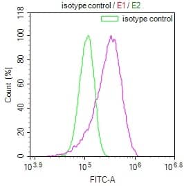 Flow Cytometry: NTH1 Antibody (22H10) [NBP3-26456] - Overlay Peak curve showing HepG2 cells stained with NTH1 Antibody (22H10) (red line) at 1:100. The cells were fixed in 4% formaldehyde and permeated by 0.2% Triton X-100. Then 10% normal goat serum to block non-specific protein-protein interactions followed by the antibody (1ug/1*10^6 cells) for 45min at 4C. The secondary antibody used was FITC-conjugated Goat Anti-rabbit IgG (H+L) at 1:200 dilution for 35min at 4C. Control antibody (green line) was rabbit IgG (1ug/1*10^6 cells) used under the same conditions. Acquisition of >10,000 events was performed.