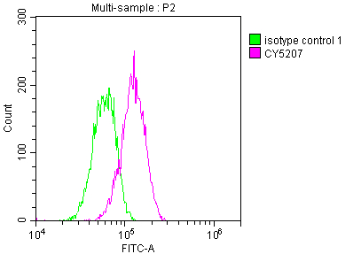 Flow Cytometry: ATM Antibody (3G11) [NBP3-26494] - Overlay histogram showing Hela cells stained with ATM Antibody (3G11) (red line) at 1:50. The cells were fixed with 70% Ethylalcohol (18h) and then incubated in 10% normal goat serum to block non-specific protein-protein interactions followed by the antibody (1ug/1*10^6 cells) for 1 h at 4C. The secondary antibody used was FITC-conjugated goat anti-rabbit IgG (H+L) at 1/200 dilution for 30min at 4C. Control antibody (green line) was Rabbit IgG (1ug/1*10^6 cells) used under the same conditions. Acquisition of >10,000 events was performed.