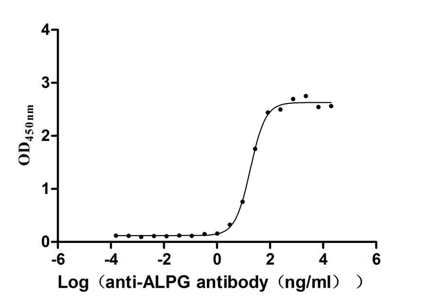 ELISA: ALPPL2 Antibody (29A5) [NBP3-26510] - The Binding Activity of Human ALPPL2 with ALPPL2 Antibody. Activity: Measured by its binding ability in a functional ELISA. Immobilized Human ALPPL2  at 2 ug/mL can bind ALPPL2 Antibody, the EC50 is 14.09-23.17 ng/mL.