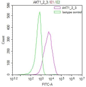 Flow Cytometry: AKT1/2/3 Antibody (16E10) [NBP3-26514] - Overlay Peak curve showing Jurkat cells stained with AKT1/2/3 Antibody (16E10) (red line) at 1:50. The cells were fixed in 4% formaldehyde and permeated by 0.2% Triton X-100. Then 10% normal goat serum to block non-specific protein-protein interactions followed by the antibody (1ug/1*10^6 cells) for 45min at 4C. The secondary antibody used was FITC-conjugated Goat Anti-rabbit IgG (H+L) at 1:200 dilution for 35min at 4C. Control antibody (green line) was rabbit IgG (1ug/1*10^6 cells) used under the same conditions. Acquisition of >10,000 events was performed.