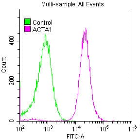 Flow Cytometry: Actin Antibody (25E3) [NBP3-26527] - Overlay histogram showing Hela cells stained with Actin Antibody (25E3) (red line) at 1:50. The cells were fixed with 70% Ethylalcohol (18h) and then permeabilized with 0.3% Triton X-100 for 2 min. The cells were then incubated in 1x PBS /10% normal goat serum to block non-specific protein-protein interactions followed by primary antibody for 1 h at 4C. The secondary antibody used was FITC goat anti-rabbit IgG (H+L) at 1/200 dilution for 1 h at 4C. Control antibody (green line) was used under the same conditions. Acquisition of >10,000 events was performed.