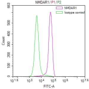 Flow Cytometry: NMDAR1 Antibody (24F5) [NBP3-26543] - Overlay Peak curve showing SH-SY5Y cells stained with NMDAR1 Antibody (24F5) (red line) at 1:50. The cells were fixed in 4% formaldehyde and permeated by 0.2% Triton X-100. Then 10% normal goat serum to block non-specific protein-protein interactions followed by the antibody (1ug/1*10^6 cells) for 45min at 4C. The secondary antibody used was FITC-conjugated Goat Anti-rabbit IgG (H+L) at 1:200 dilution for 35min at 4C. Control antibody (green line) was rabbit IgG (1ug/1*10^6 cells) used under the same conditions. Acquisition of >10,000 events was performed.