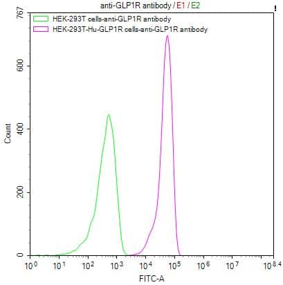 Flow Cytometry: Human GLP-1R mAb (7H7) [NBP3-26551] - Untransfected HEK-293T cells surface (green line) and transfected Human GLP1R HEK-293T stable cells surface (red line) were stained with anti-GLP1R antibody (2µg/1*106cells), washed and then followed by FITC-conjugated anti-Human IgG Fc antibody and analyzed with flow cytometry.