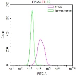 Flow Cytometry: FPGS Antibody (30C11) [NBP3-26569] - Overlay Peak curve showing HepG2 cells stained with FPGS Antibody (30C11) (red line) at 1:50. The cells were fixed in 4% formaldehyde and permeated by 0.2% Triton X-100. Then 10% normal goat serum to block non-specific protein-protein interactions followed by the antibody (1ug/1*10^6 cells) for 45min at 4C. The secondary antibody used was FITC-conjugated Goat Anti-rabbit IgG (H+L) at 1:200 dilution for 35min at 4C. Control antibody (green line) was rabbit IgG (1ug/1*10^6 cells) used under the same conditions. Acquisition of >10,000 events was performed.