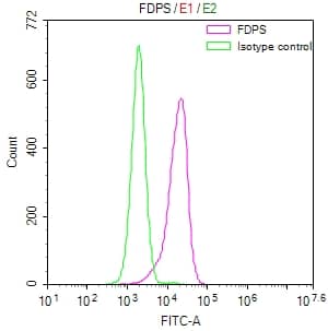 Flow Cytometry: FDPS Antibody (12H4) [NBP3-26585] - Overlay Peak curve showing HepG2 cells stained with FDPS Antibody (12H4) (red line) at 1:50. The cells were fixed in 4% formaldehyde and permeated by 0.2% Triton X-100. Then 10% normal goat serum to block non-specific protein-protein interactions followed by the antibody (1ug/1*10^6 cells) for 45min at 4C. The secondary antibody used was FITC-conjugated Goat Anti-rabbit IgG (H+L) at 1:200 dilution for 35min at 4C. Control antibody (green line) was rabbit IgG (1ug/1*10^6 cells) used under the same conditions. Acquisition of >10,000 events was performed.