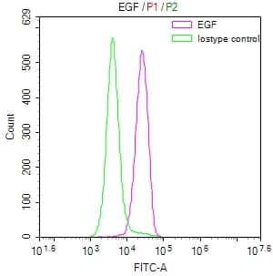 Flow Cytometry: EGF Antibody (18B12) [NBP3-26606] - Overlay Peak curve showing SH-SY5Y cells stained with EGF Antibody (18B12) (red line) at 1:50. The cells were fixed in 4% formaldehyde and permeated by 0.2% Triton X-100. Then 10% normal goat serum to block non-specific protein-protein interactions followed by the antibody (1ug/1*10^6 cells) for 45min at 4C. The secondary antibody used was FITC-conjugated Goat Anti-rabbit IgG (H+L) at 1:200 dilution for 35min at 4C. Control antibody (green line) was rabbit IgG (1ug/1*10^6 cells) used under the same conditions. Acquisition of >10,000 events was performed.