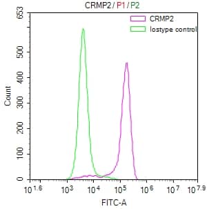 Flow Cytometry: CRMP2 Antibody (20D8) [NBP3-26612] - Overlay Peak curve showing SH-SY5Y cells stained with CRMP2 Antibody (20D8) (red line) at 1:50. The cells were fixed in 4% formaldehyde and permeated by 0.2% Triton X-100. Then 10% normal goat serum to block non-specific protein-protein interactions followed by the antibody (1ug/1*10^6 cells) for 45min at 4C. The secondary antibody used was FITC-conjugated Goat Anti-rabbit IgG (H+L) at 1:200 dilution for 35min at 4C. Control antibody (green line) was rabbit IgG (1ug/1*10^6 cells) used under the same conditions. Acquisition of >10,000 events was performed.