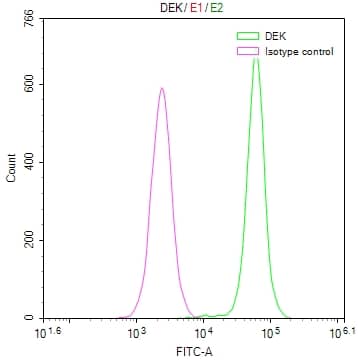 Flow Cytometry: DEK Antibody (20D2) [NBP3-26624] - Overlay Peak curve showing Hela cells stained with DEK Antibody (20D2) (red line) at 1:50. The cells were fixed in 4% formaldehyde and permeated by 0.2% Triton X-100. Then 10% normal goat serum to block non-specific protein-protein interactions followed by the antibody (1ug/1*10^6 cells) for 45min at 4C. The secondary antibody used was FITC-conjugated Goat Anti-rabbit IgG (H+L) at 1:200 dilution for 35min at 4C. Control antibody (green line) was rabbit IgG (1ug/1*10^6 cells) used under the same conditions. Acquisition of >10,000 events was performed.