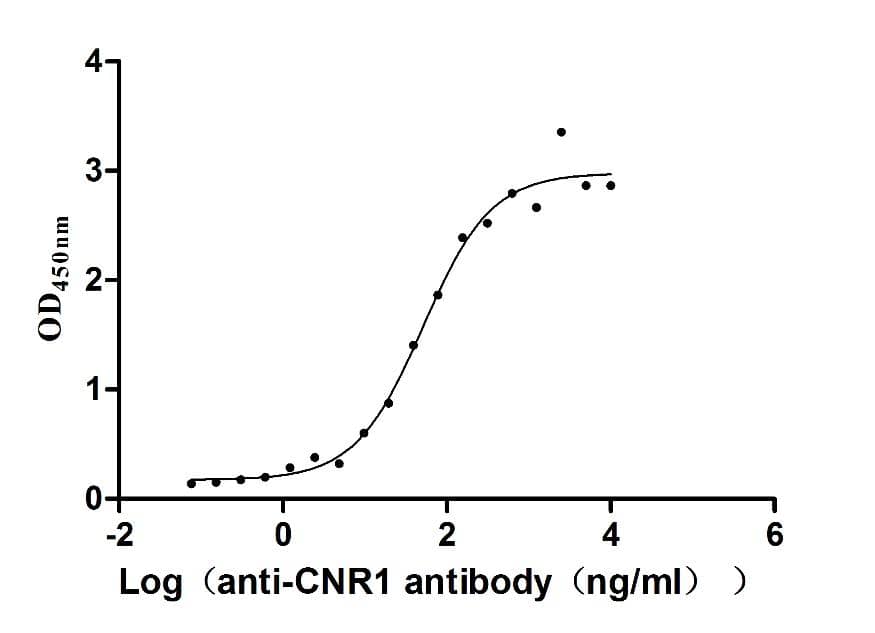 ELISA: Cannabinoid R1/CB1/CNR1 Antibody (2A1) [NBP3-26648] - The Binding Activity of Human Cannabinoid R1/CB1/CNR1 with Cannabinoid R1/CB1/CNR1 Antibody. Activity: Measured by its binding ability in a functional ELISA. Immobilized Human Cannabinoid R1/CB1/CNR1 at 10 ug/mL can bind Cannabinoid R1/CB1/CNR1 Antibody, the EC50 is 41.72-63.54 ng/mL.