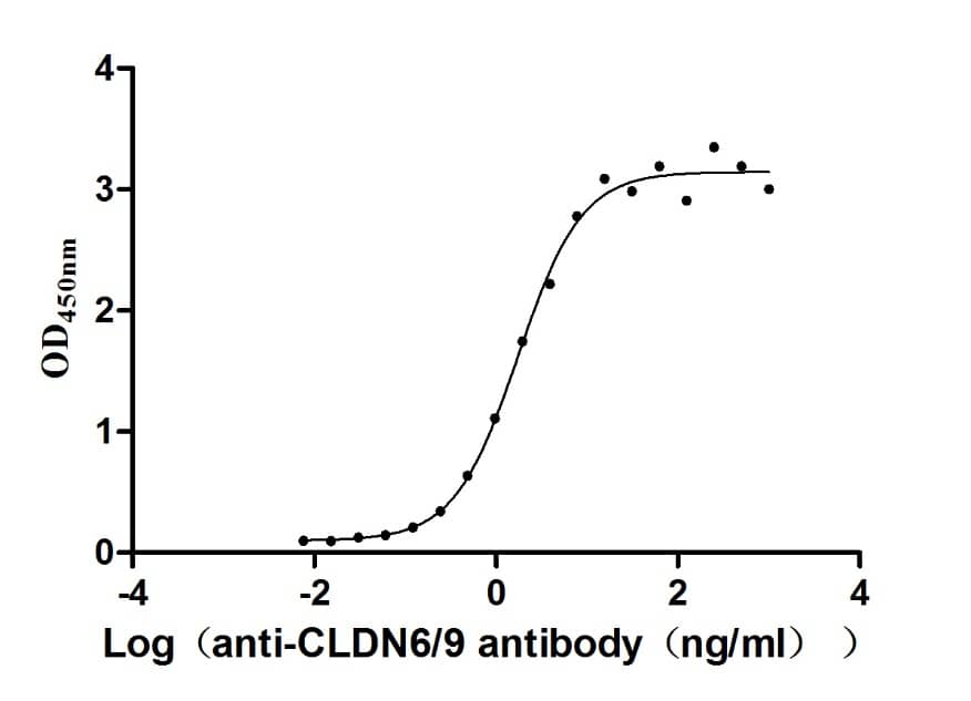 ELISA: Claudin-6 Antibody (9H8) [NBP3-26651] - The Binding Activity of Human Claudin-6 with Claudin-6 Antibody. Activity: Measured by its binding ability in a functional ELISA. Immobilized Human Claudin-6 at 10 ug/mL can bind Claudin-6 Antibody, the EC50 is 1.501-2.035 ng/mL.