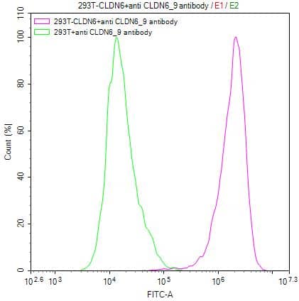 Flow Cytometry: Claudin-6 Antibody (9H8) [NBP3-26651] - Untransfected HEK293T cells (green line) and transfected Human CLDN6 HEK293T stable cells (red line) were stained with anti-CLDN6/9 recombinant antibody (2ug/1*10^6 cells), washed and then followed by FITC-conjugated anti-Human IgG Fc antibody and analyzed with flow cytometry.