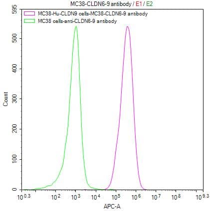 Flow Cytometry: Claudin-6 Antibody (9H8) [NBP3-26651] -Untransfected MC38 cells (green line) and transfected Human CLDN9 MC38 stable cells (red line) were stained with anti-CLDN6/9 antibody (2µg/1*106cells), washed and then followed by APC-conjugated anti-Human IgG Fc antibody and analyzed with flow cytometry.